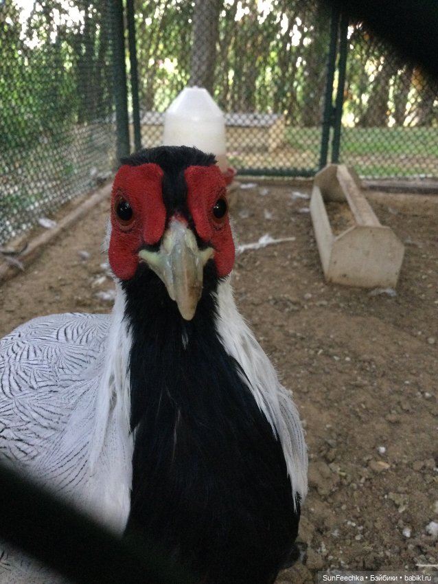 Просто фото для вдохновения