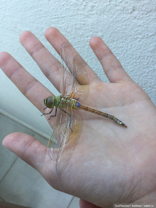 Просто фото для вдохновения