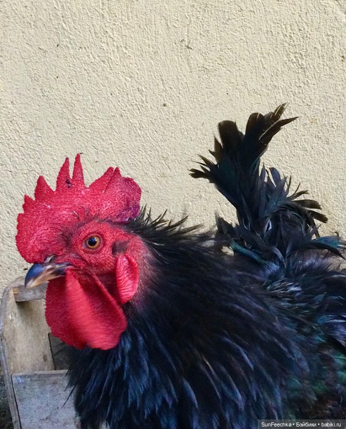 Просто фото для вдохновения