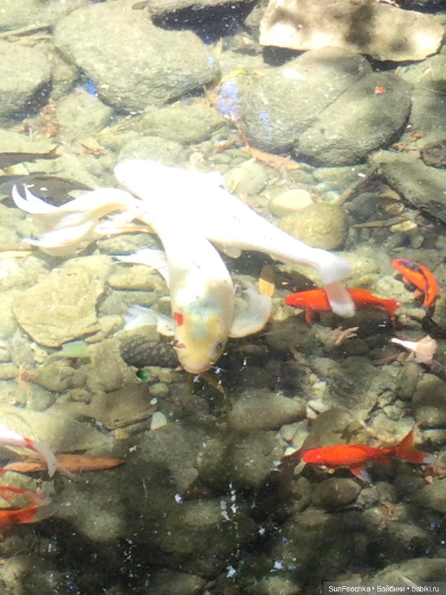 Просто фото для вдохновения (фото 6)