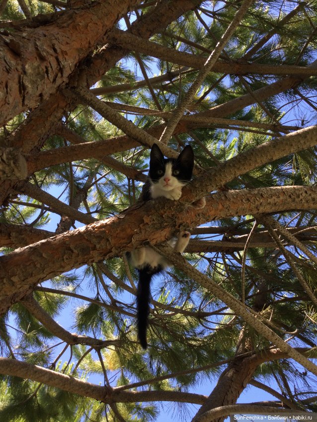 Просто фото для вдохновения (фото 7)