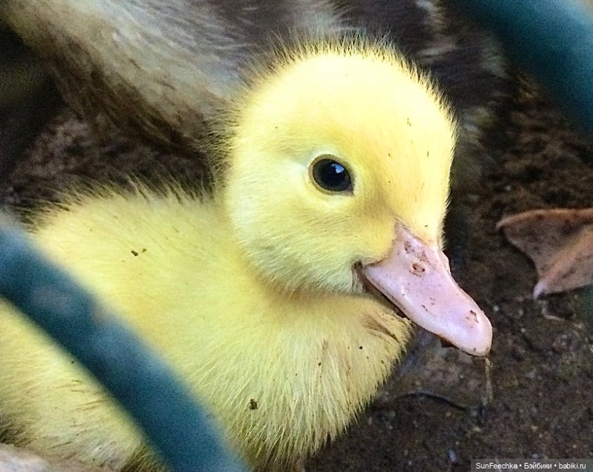 Просто фото для вдохновения