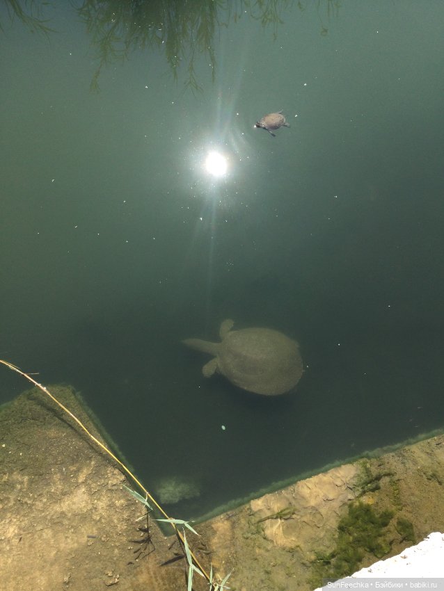 Просто фото для вдохновения