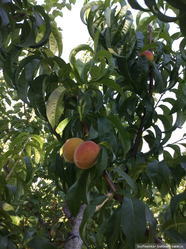 Просто фото для вдохновения (фото 9)