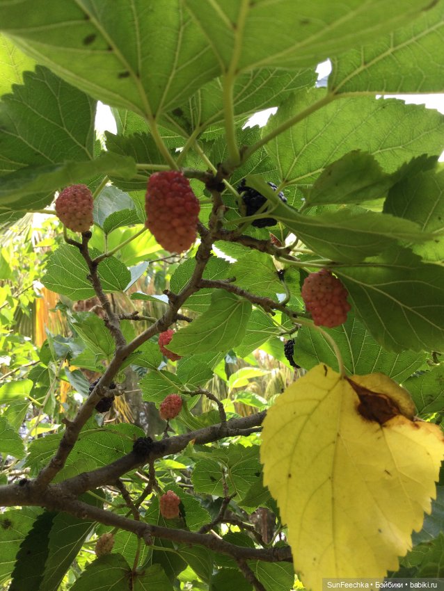 Просто фото для вдохновения (фото 2)