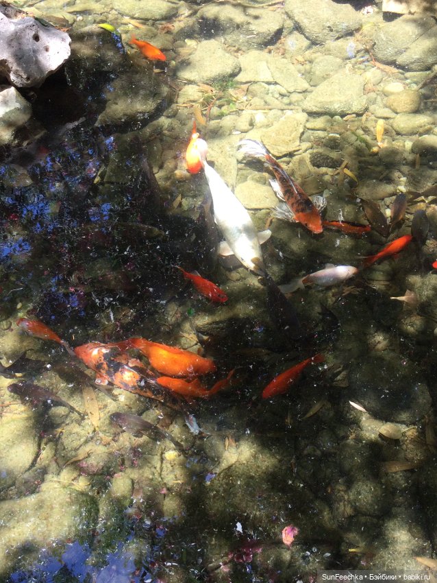 Просто фото для вдохновения (фото 5)