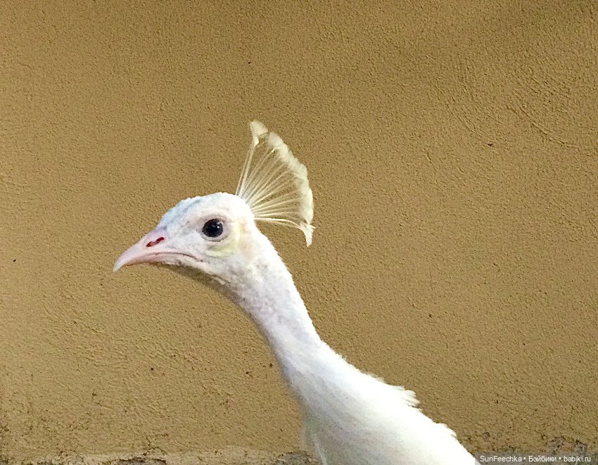 Просто фото для вдохновения