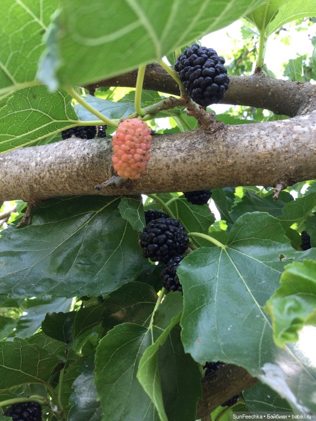 Просто фото для вдохновения