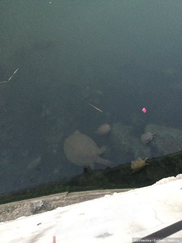 Просто фото для вдохновения