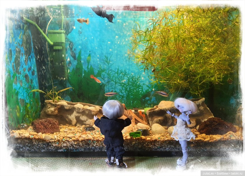 Зоодень — Фотоистории с куклами BJD (БЖД): сериалы (фото 4)