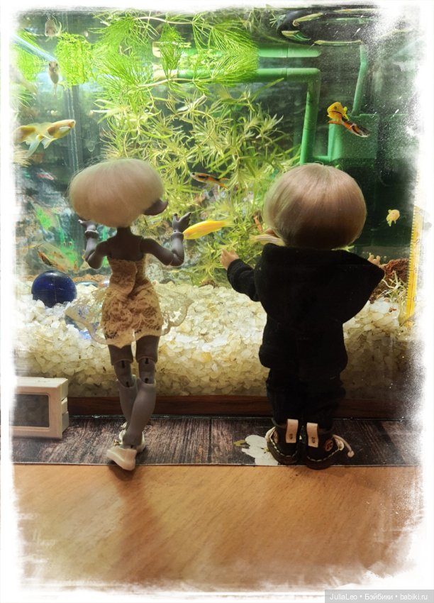 Зоодень — Фотоистории с куклами BJD (БЖД): сериалы (фото 2)