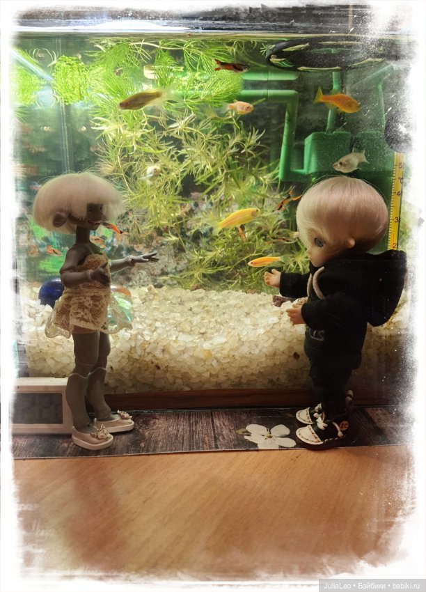 Зоодень — Фотоистории с куклами BJD (БЖД): сериалы (фото 3)