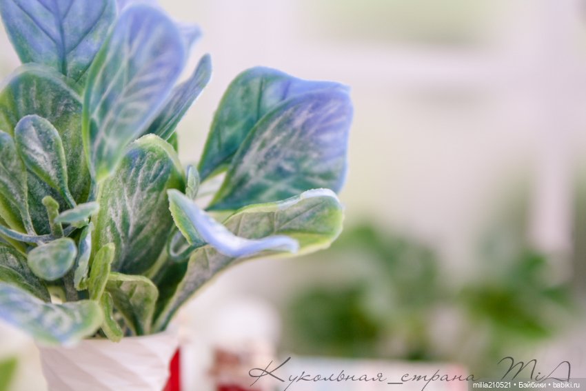 Вишня, вишня... красная вишня... Или вишнёвый торт