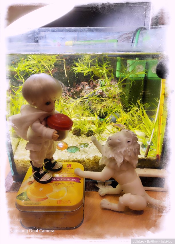 Зоодень — Фотоистории с куклами BJD (БЖД): сериалы