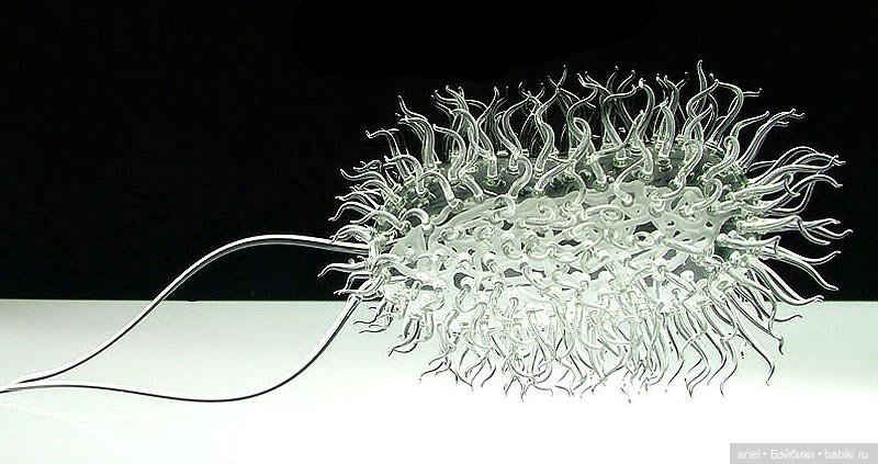 Смертельные болезни в виде прекрасных скульптур из стекла от британский художник Люка Джеррома (Luke Jerram) (фото 2)