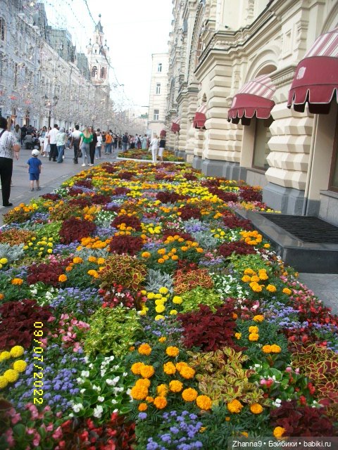 Прогулка с Лисой Патрикеевной по Москве