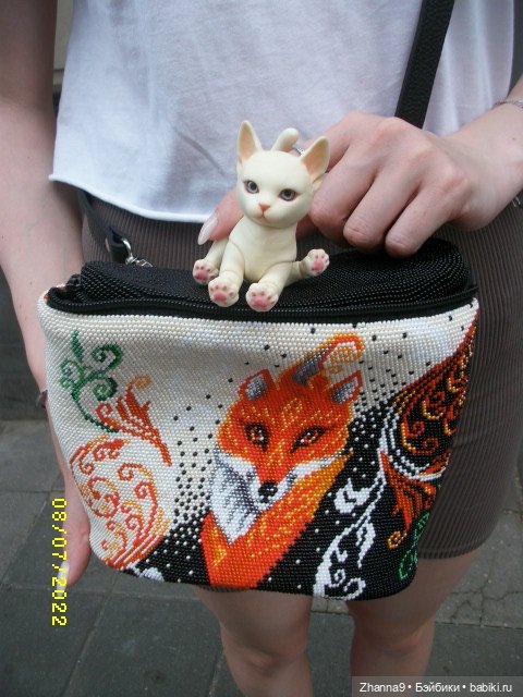 Прогулка с Лисой Патрикеевной по Москве (фото 6)