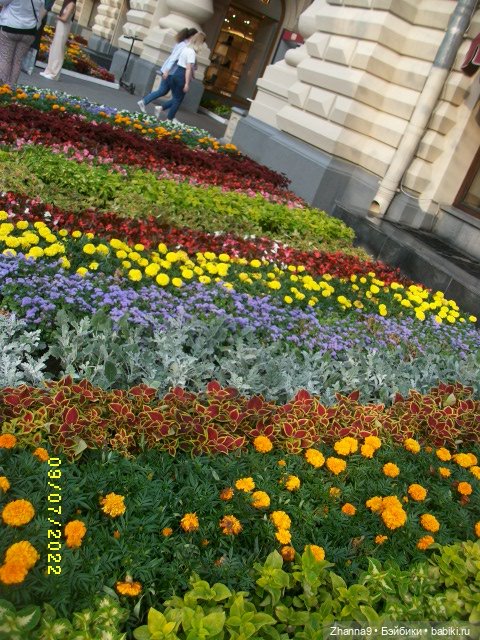 Прогулка с Лисой Патрикеевной по Москве