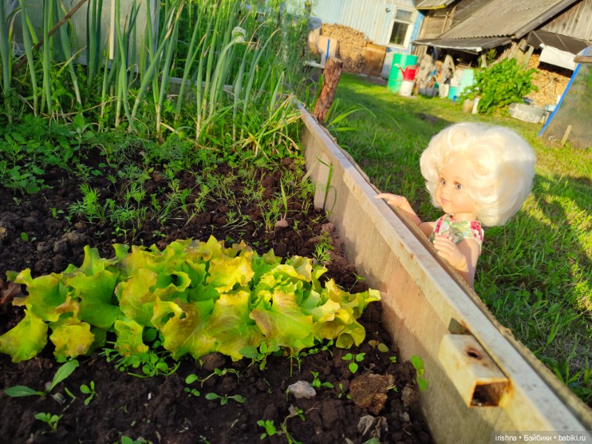 Прогулка Мерлин и Монро — Куклы Paola Reina (Паола Рейна): новинки (фото 3)