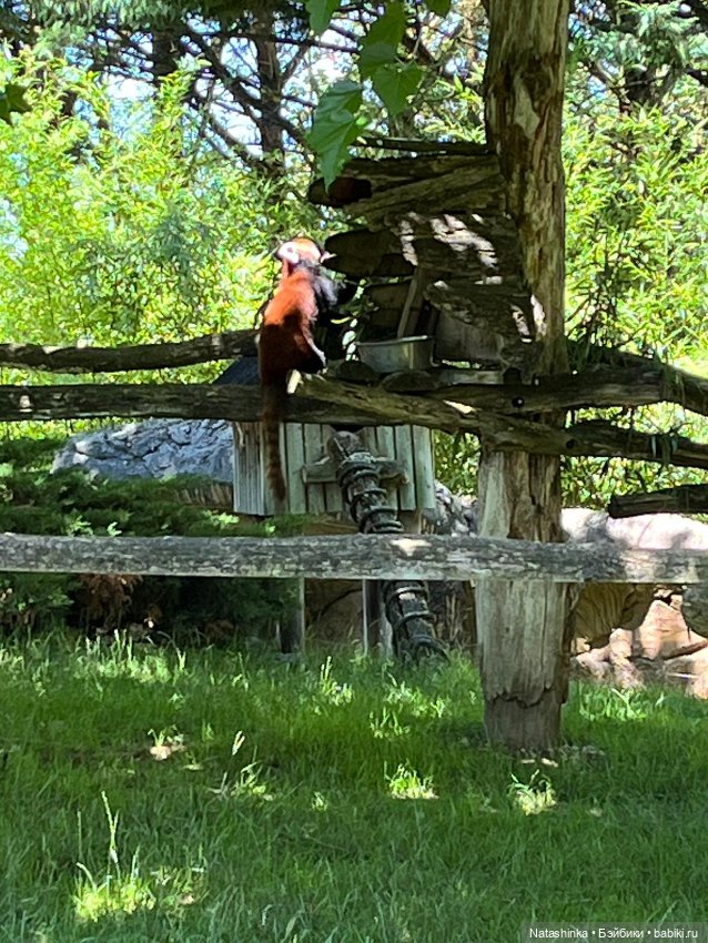 Fashion Dolls 397 — Туризм и путешествия: фотоотчеты из поездок