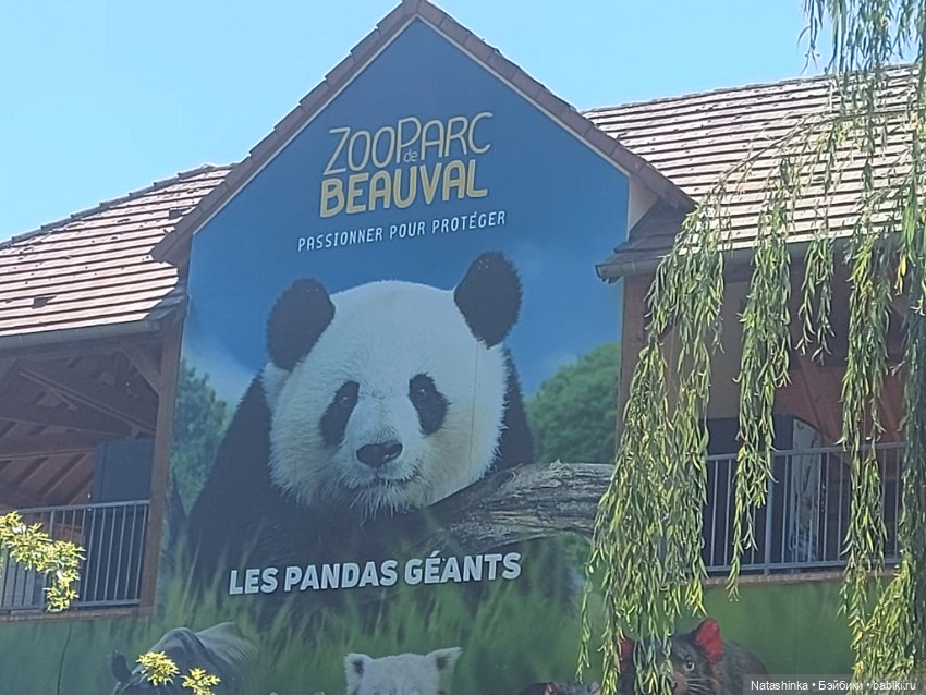 Fashion Dolls 397 — Туризм и путешествия: фотоотчеты из поездок