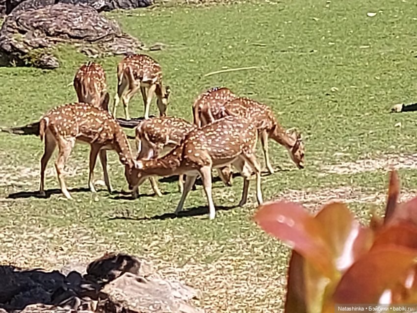 Fashion Dolls 397 — Туризм и путешествия: фотоотчеты из поездок