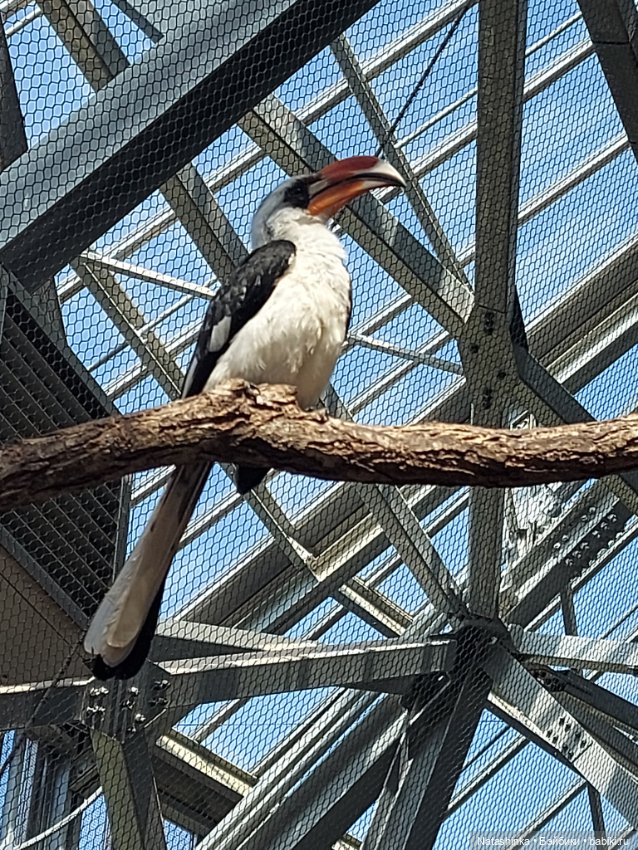 Fashion Dolls 397 — Туризм и путешествия: фотоотчеты из поездок (фото 7)