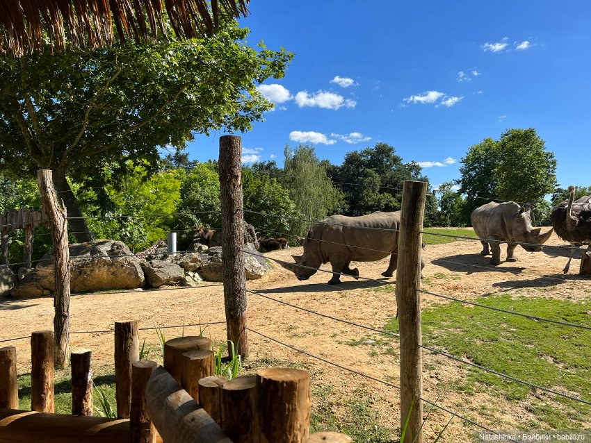 Fashion Dolls 397 — Туризм и путешествия: фотоотчеты из поездок