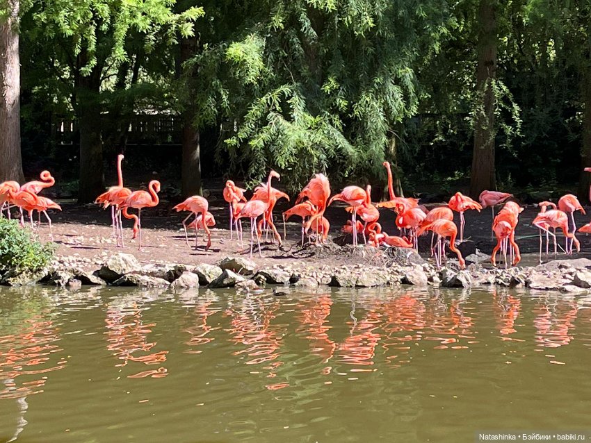 Fashion Dolls 397 — Туризм и путешествия: фотоотчеты из поездок