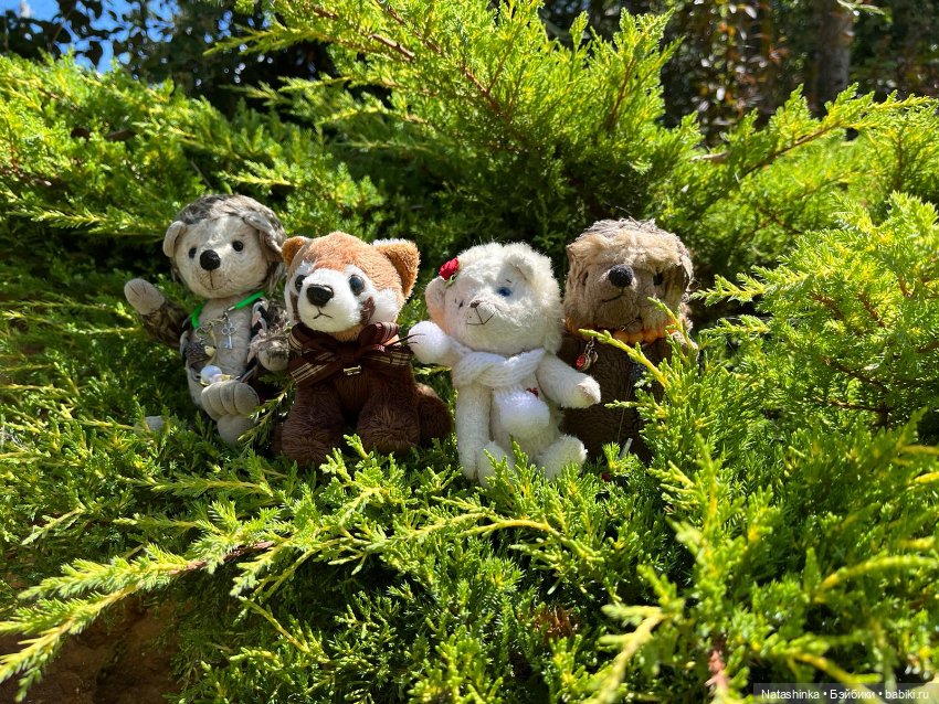 Fashion Dolls 397 — Туризм и путешествия: фотоотчеты из поездок