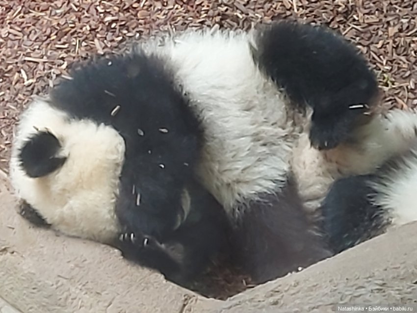 Fashion Dolls 397 — Туризм и путешествия: фотоотчеты из поездок (фото 10)