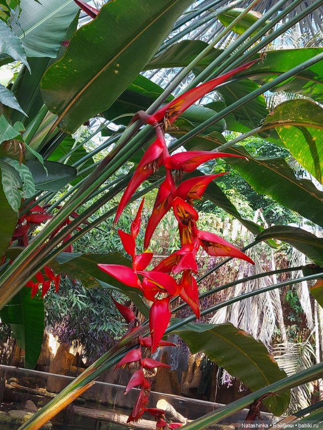 Fashion Dolls 397 — Туризм и путешествия: фотоотчеты из поездок