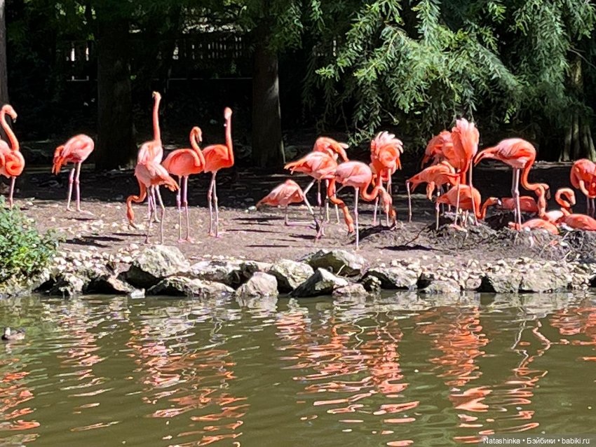 Fashion Dolls 397 — Туризм и путешествия: фотоотчеты из поездок