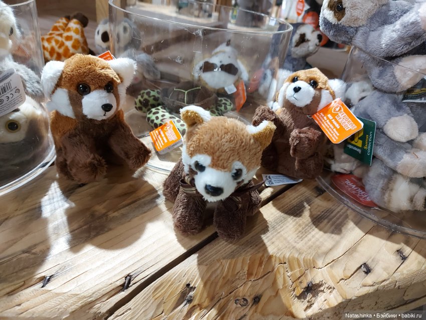 Fashion Dolls 397 — Туризм и путешествия: фотоотчеты из поездок (фото 5)