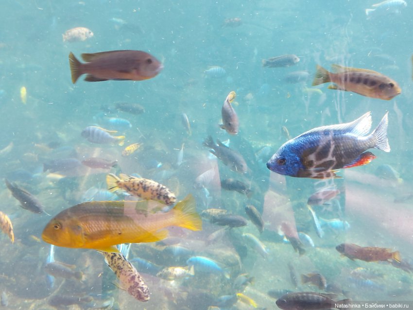 Fashion Dolls 397 — Туризм и путешествия: фотоотчеты из поездок (фото 8)