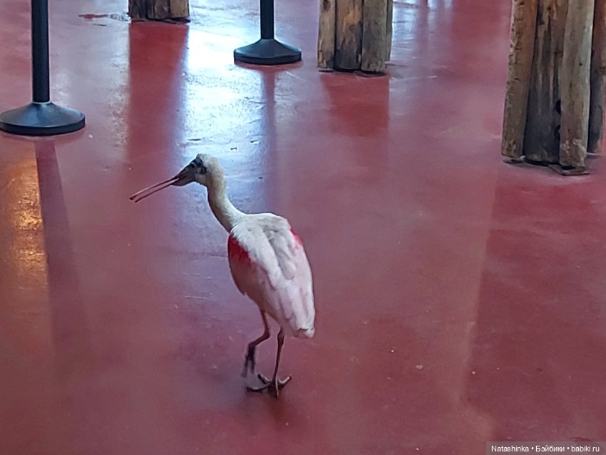 Fashion Dolls 397 — Туризм и путешествия: фотоотчеты из поездок (фото 9)