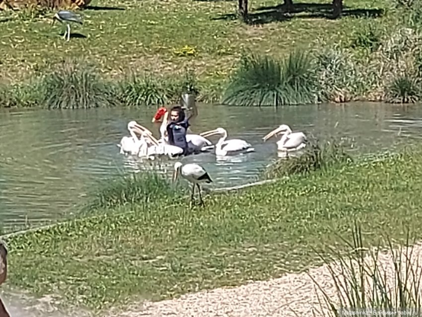 Fashion Dolls 397 — Туризм и путешествия: фотоотчеты из поездок