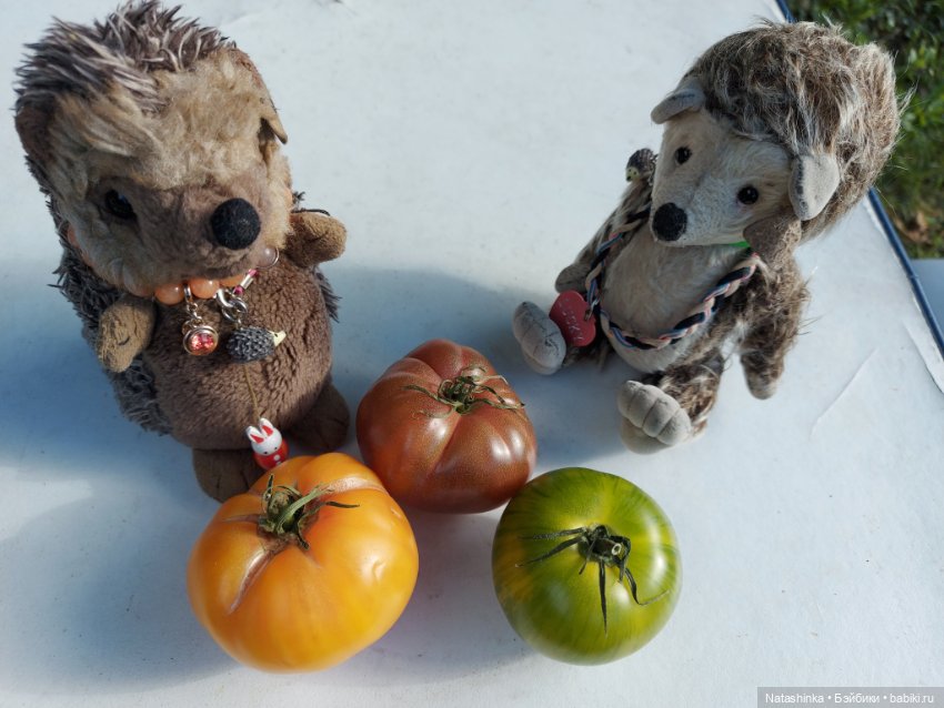 Fashion Dolls 397 — Туризм и путешествия: фотоотчеты из поездок