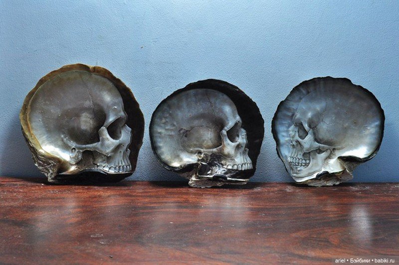 Нежные черепа из перламутровых ракушек от Грегори Халили (Gregory Halili) (фото 5)