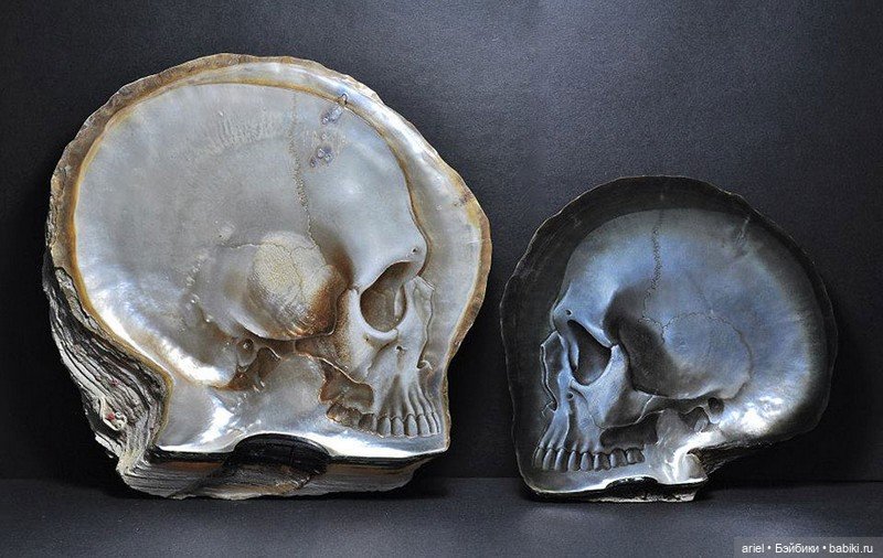 Нежные черепа из перламутровых ракушек от Грегори Халили (Gregory Halili) (фото 7)