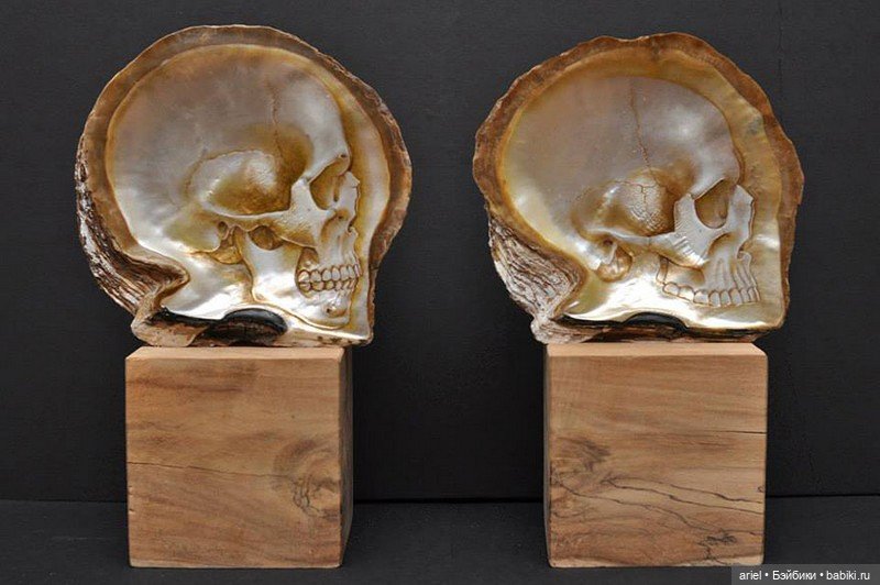 Нежные черепа из перламутровых ракушек от Грегори Халили (Gregory Halili)