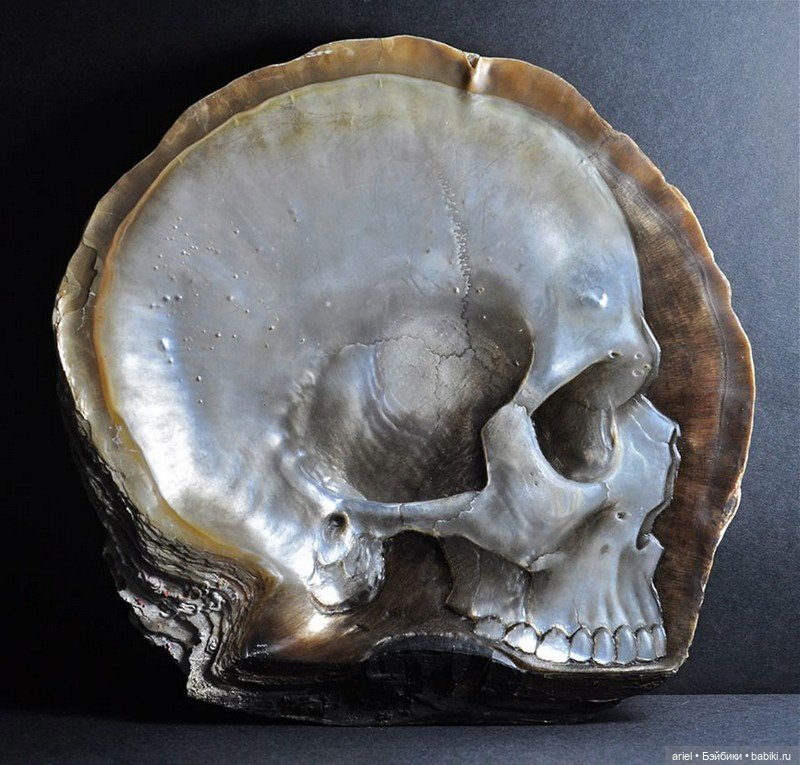 Нежные черепа из перламутровых ракушек от Грегори Халили (Gregory Halili) (фото 8)