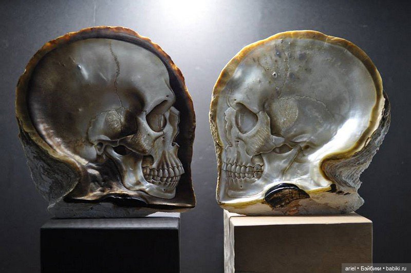 Нежные черепа из перламутровых ракушек от Грегори Халили (Gregory Halili) (фото 2)