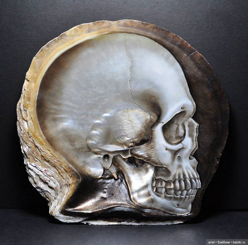 Нежные черепа из перламутровых ракушек от Грегори Халили (Gregory Halili) (фото 3)