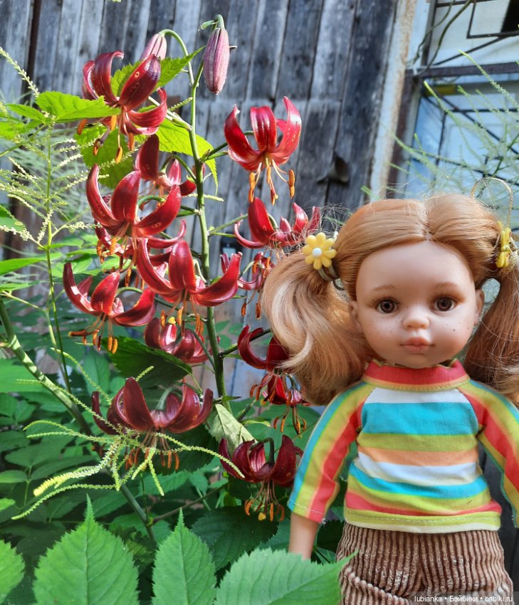 Любимое моё солнышко Дашулька