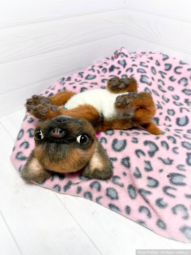 Sun(Солнышко)☀️🐾🐶 — Реалистичные игрушки и звери (Натюр): собаки (фото 9)