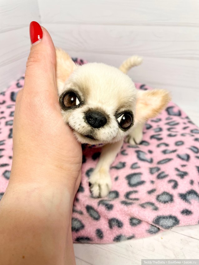 Luna 🐾🐾🐶 — Реалистичные игрушки и звери (Натюр): собаки