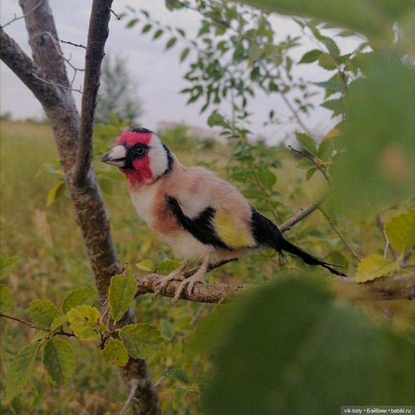 Щегол — Игрушки в смешанной технике (мех и глина): Арт (фото 4)