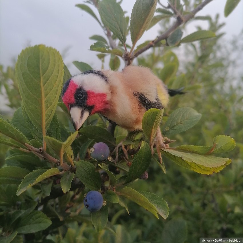 Щегол — Игрушки в смешанной технике (мех и глина): Арт (фото 7)