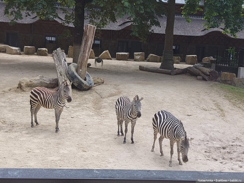 Fashion Dolls 398 — Туризм и путешествия: фотоотчеты из поездок